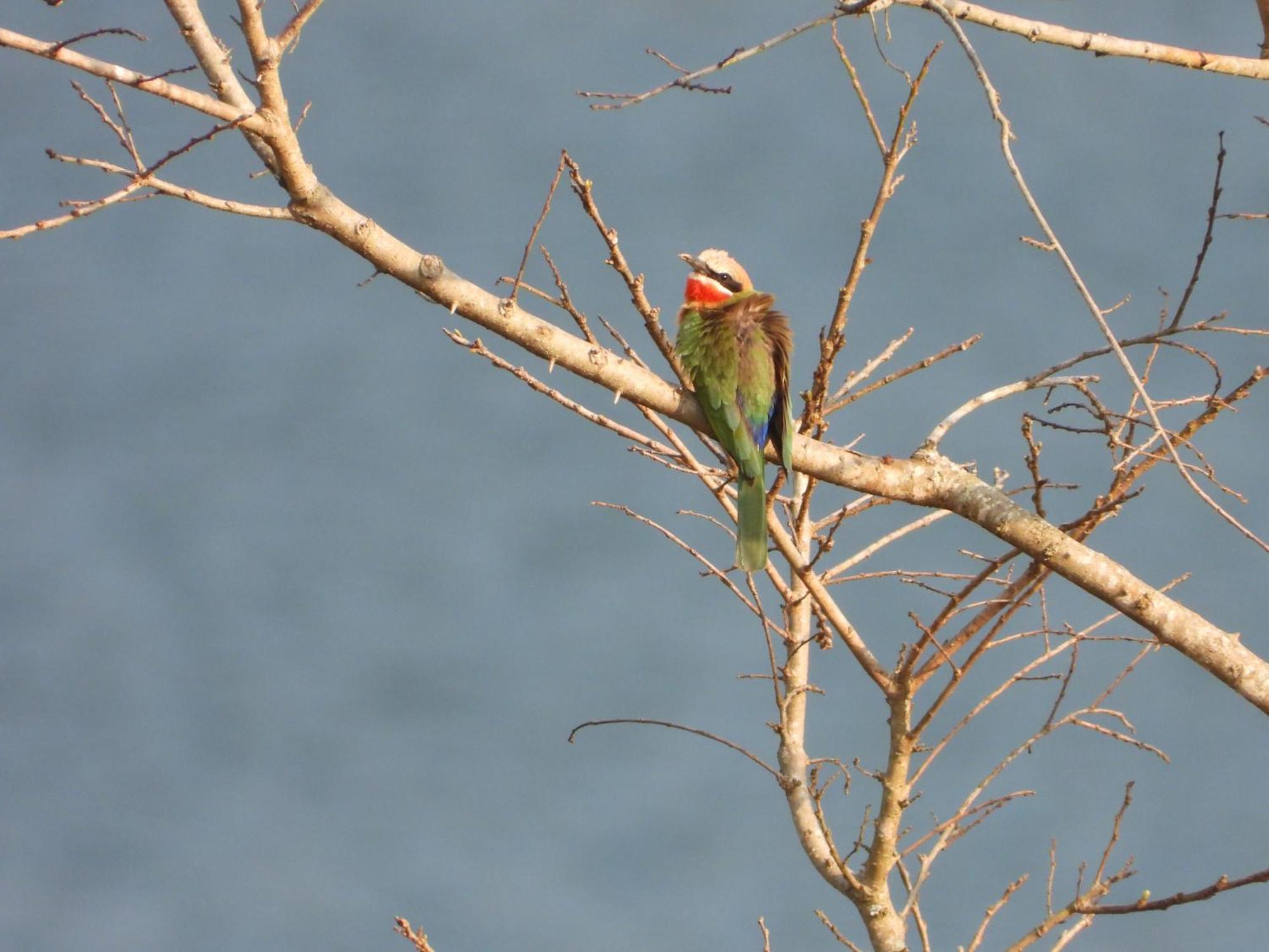 Dagama Dam - White River - Kestrel - House 21 エクステリア 写真